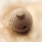 Perfumy aromaterapia nakrętka z drewna bukowego samochodowa butelka na perfumy zakrętka 12mm średnica gwintu okrągły kapelusz typ konfigurowalny
