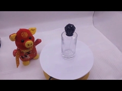 nowy udział w kapitale zakładowym